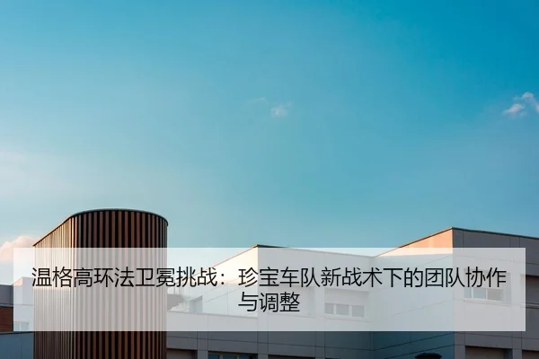 wen-ge-gao-huan-fa-wei-mian-tiao-zhan-zhen-bao-che-dui-xin-zhan-shu-xia-de-tuan-dui-xie-zuo-yu-tiao-zheng-2-651.jpg