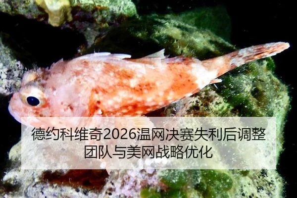 de-yue-ke-wei-qi-wen-wang-jue-sai-shi-li-hou-tiao-zheng-tuan-dui-yu-mei-wang-zhan-lve-you-hua-2-133.jpg
