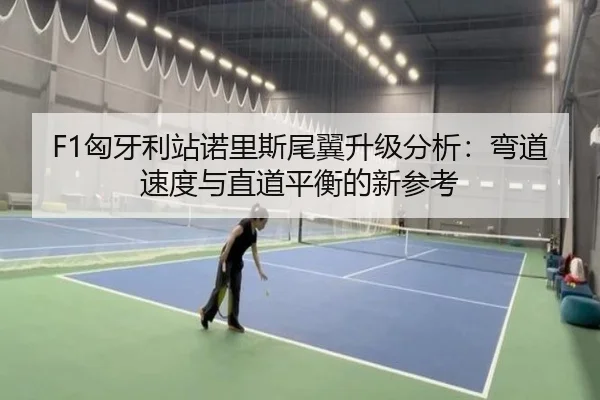 F1匈牙利站诺里斯尾翼升级分析：弯道速度与直道平衡的新参考